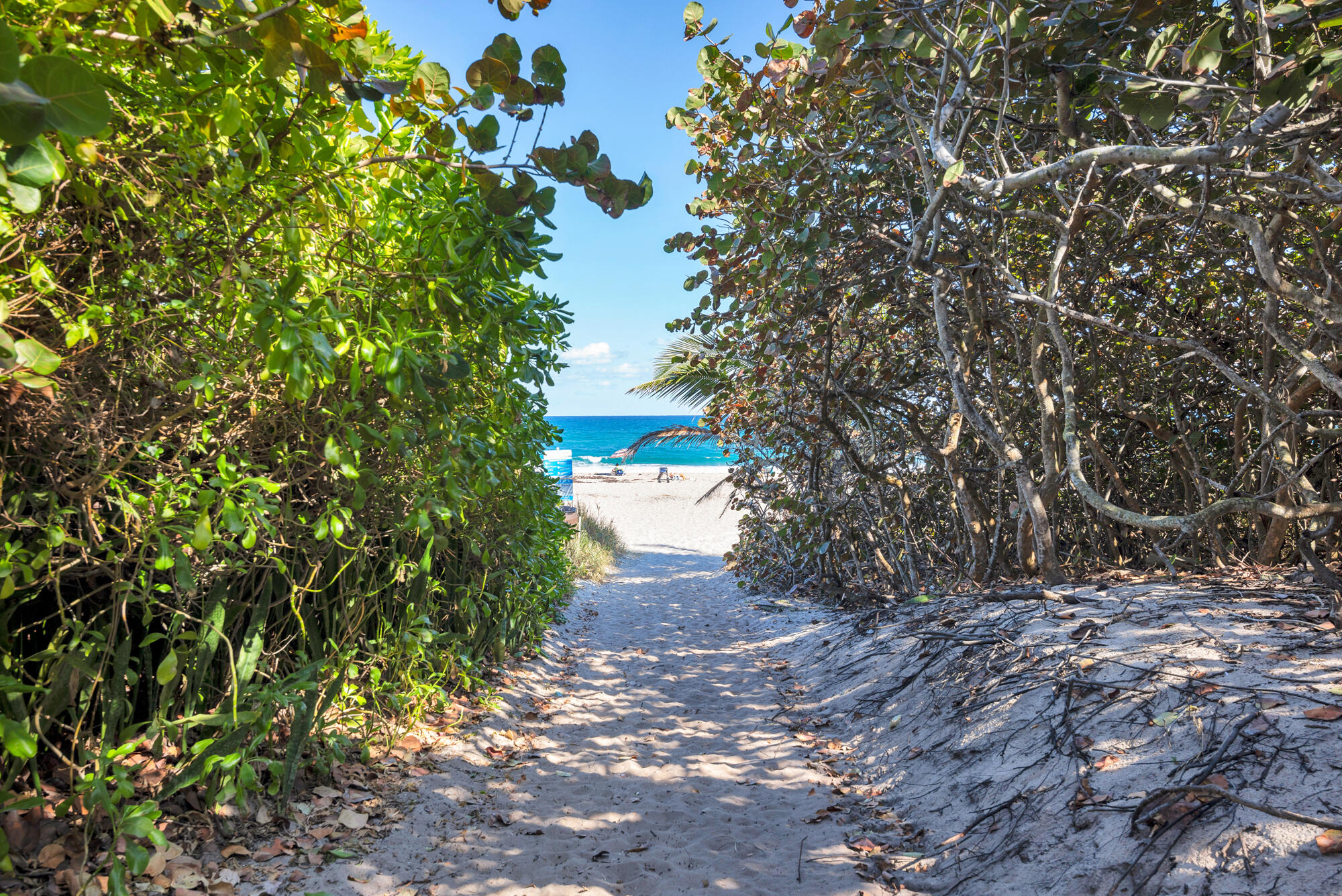 FRANTZ PELICAN BEACH ADD - Residential