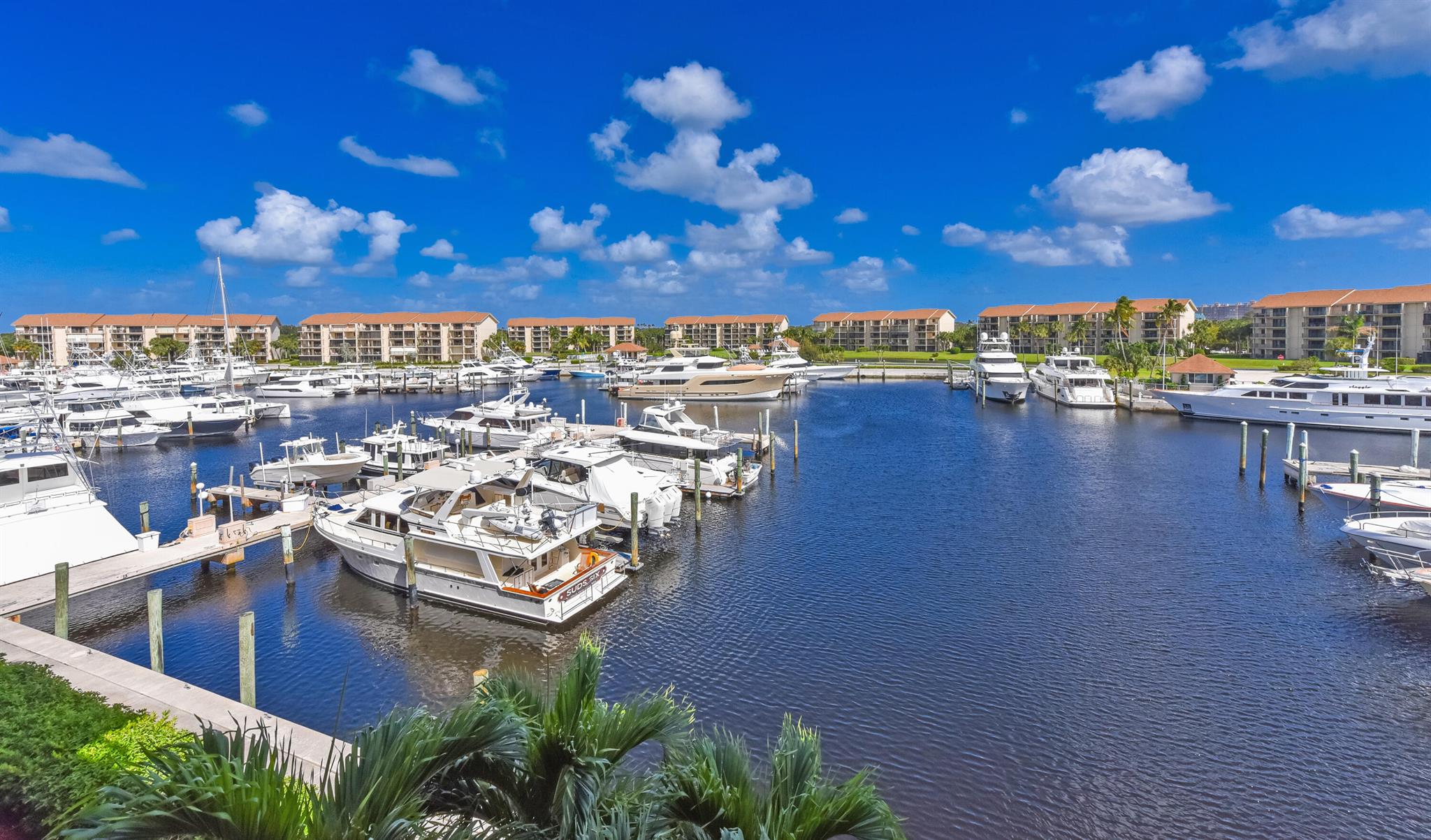 MARINA AT THE BLUFFS COND - Residential Lease