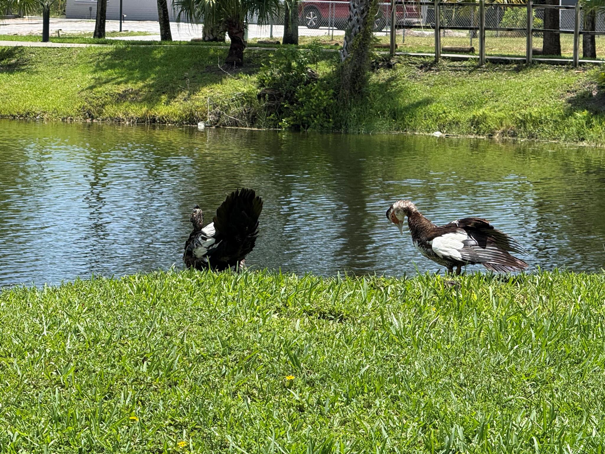 LAKESIDE VILLAGE CONDO 10 - Residential