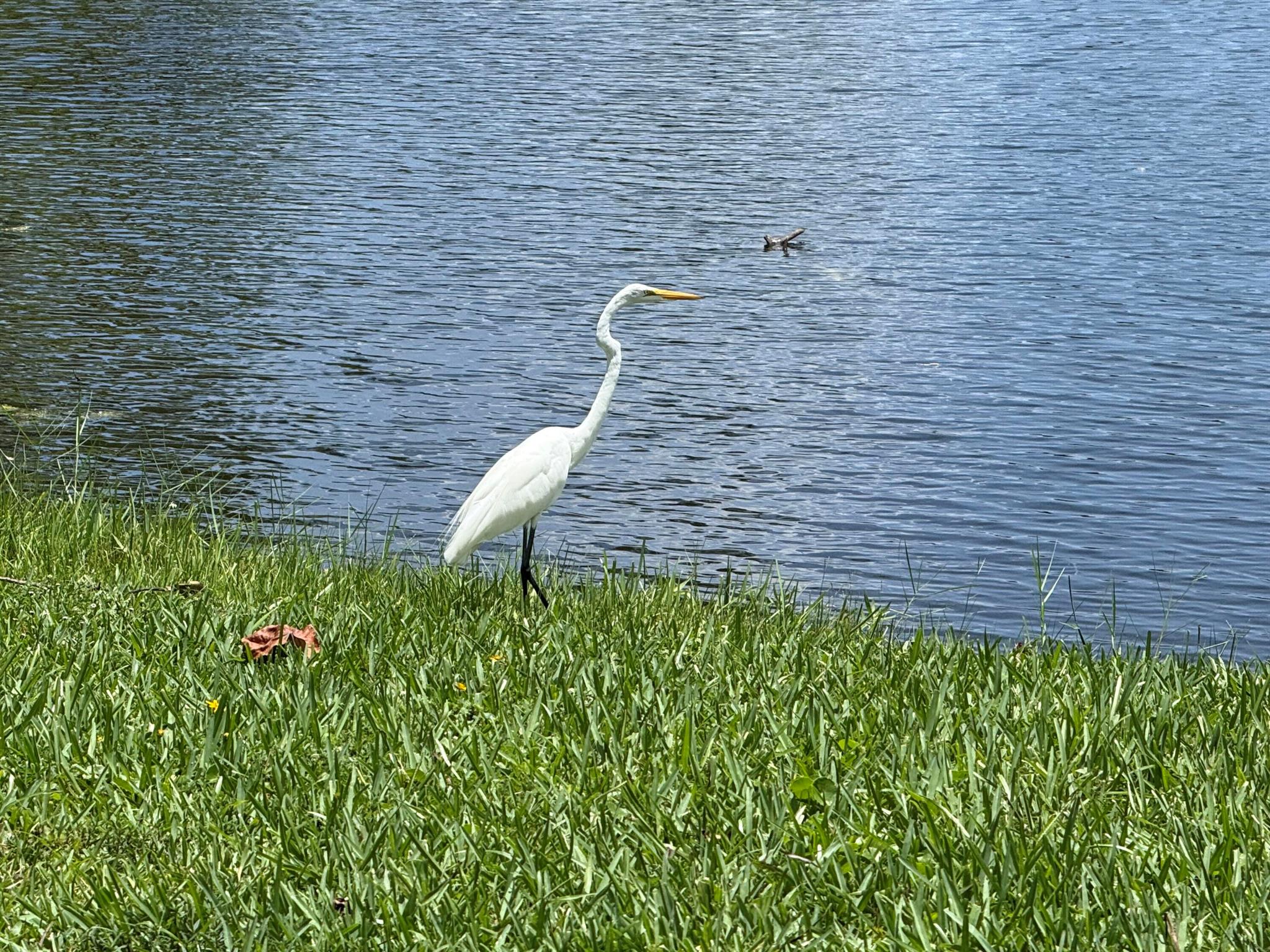 LAKESIDE VILLAGE CONDO 10 - Residential