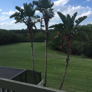 RIVERWALK 2 - Residential