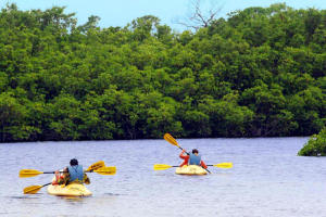 RIVERWALK 2 - Residential