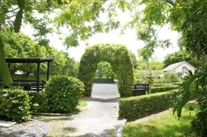 Saddle Trail Park Of Well - Residential