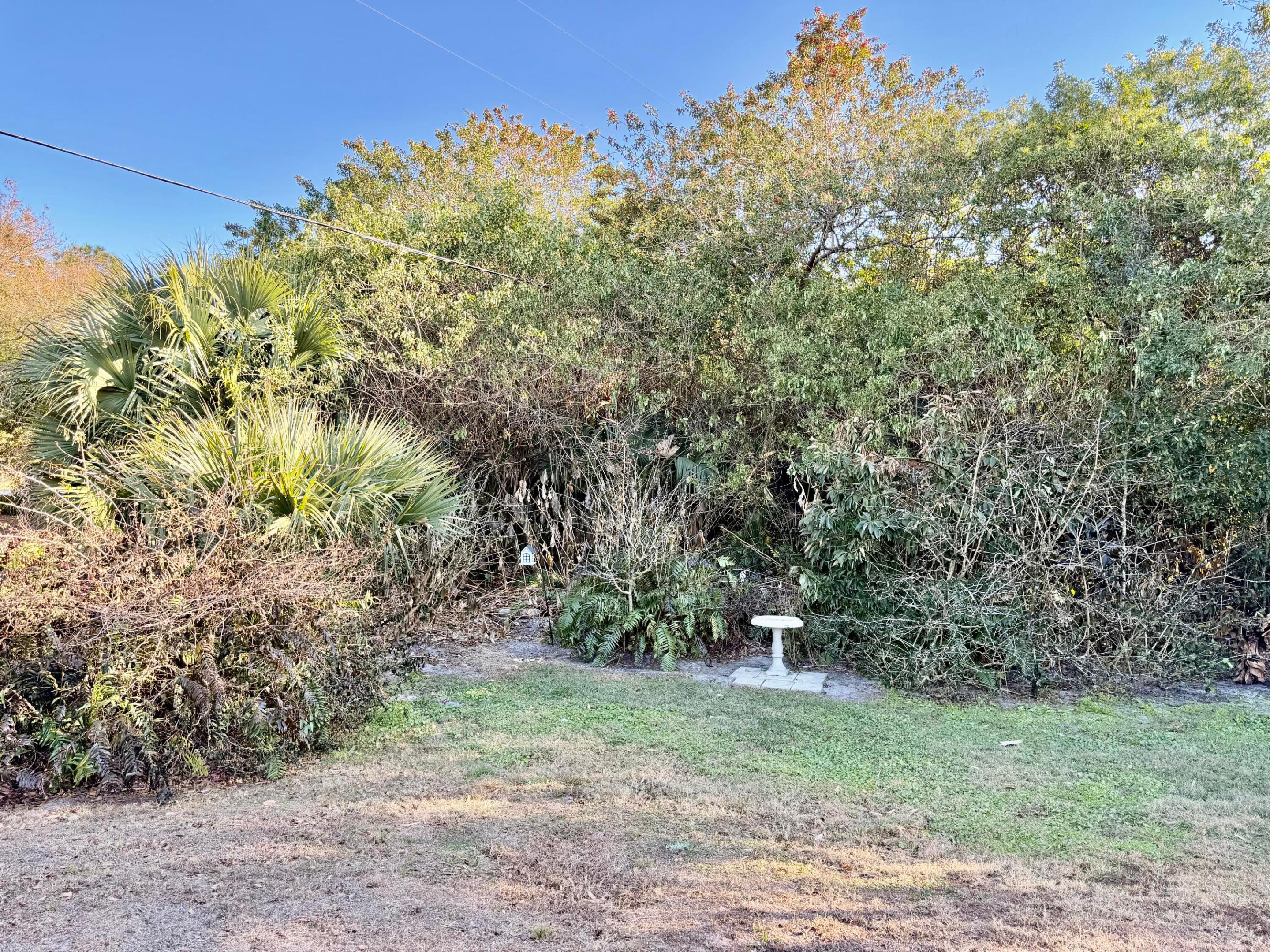 Basswood - Residential