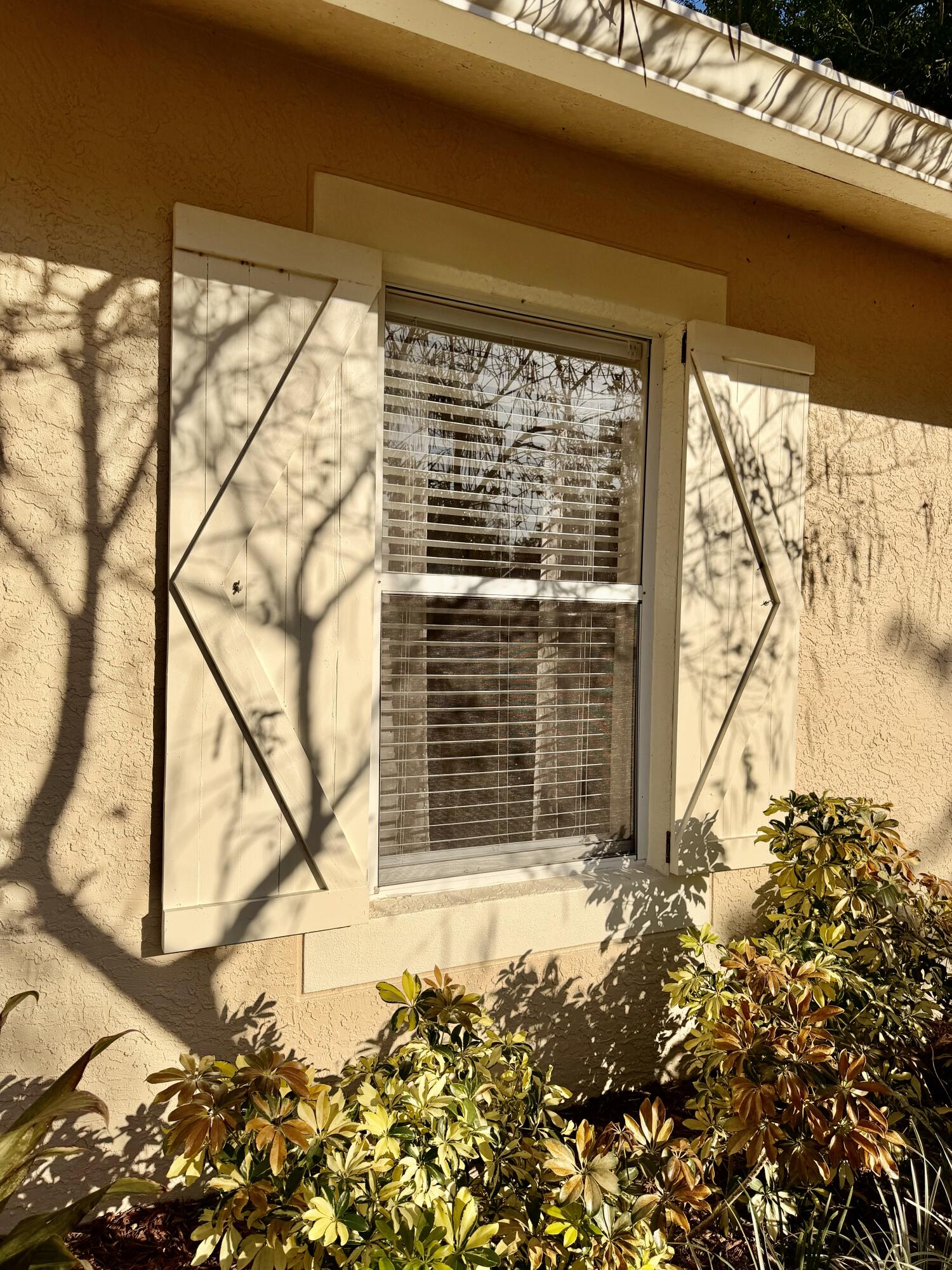 Basswood - Residential