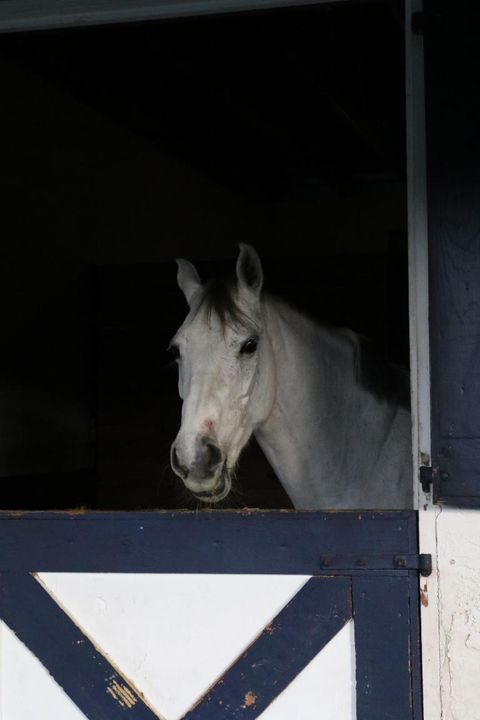 1634 Trotter Court Wellington FL 33414