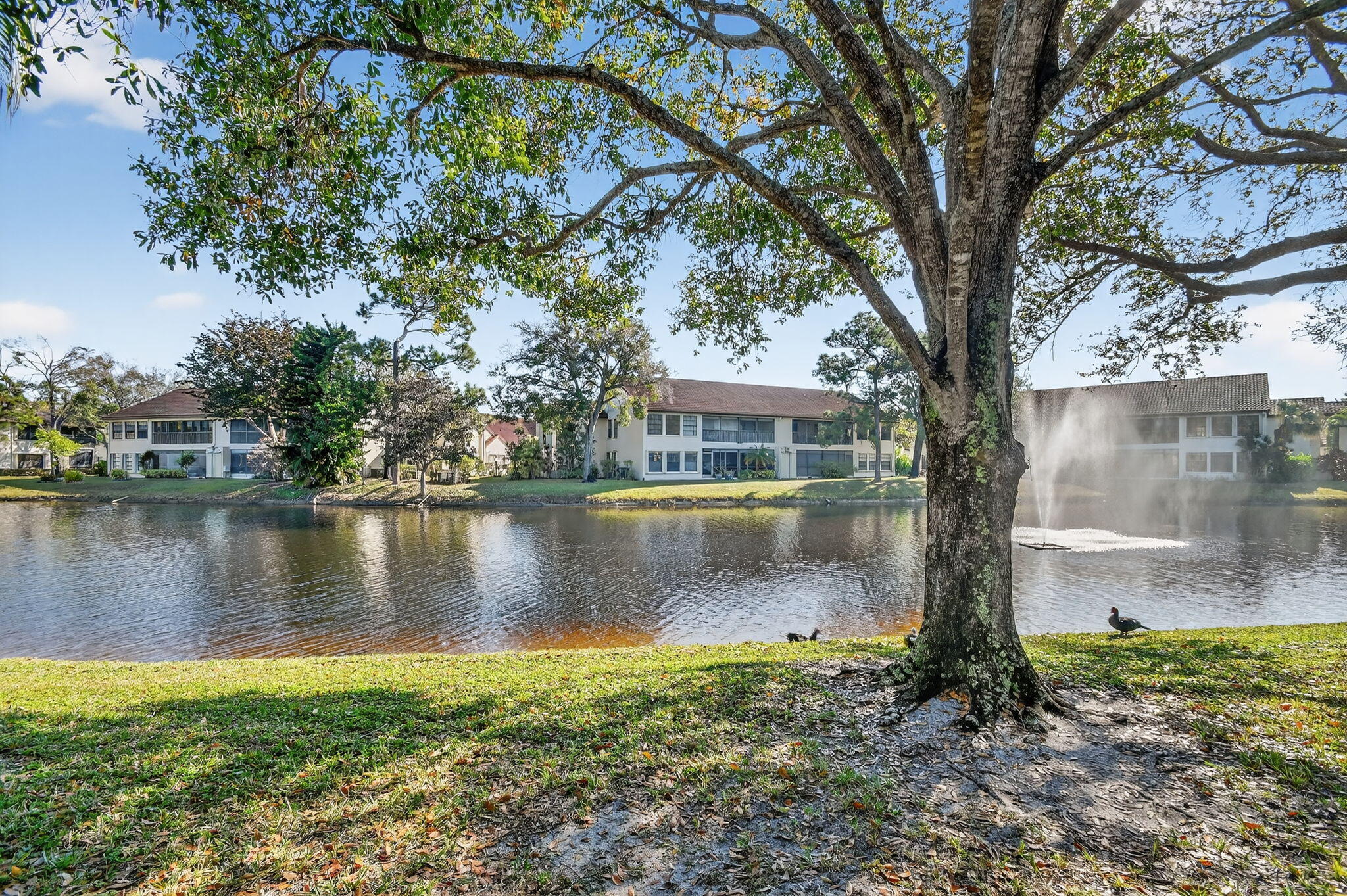 PARK POINTE - Residential