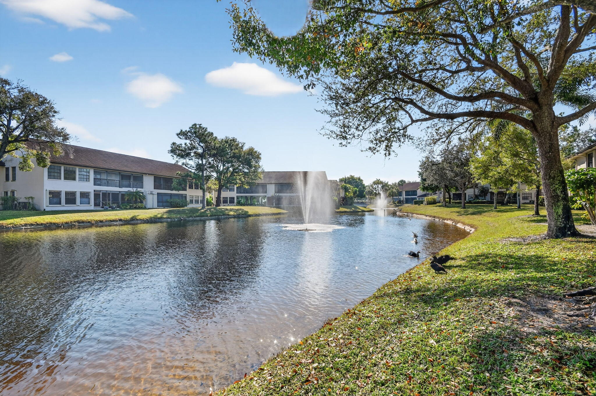 PARK POINTE - Residential