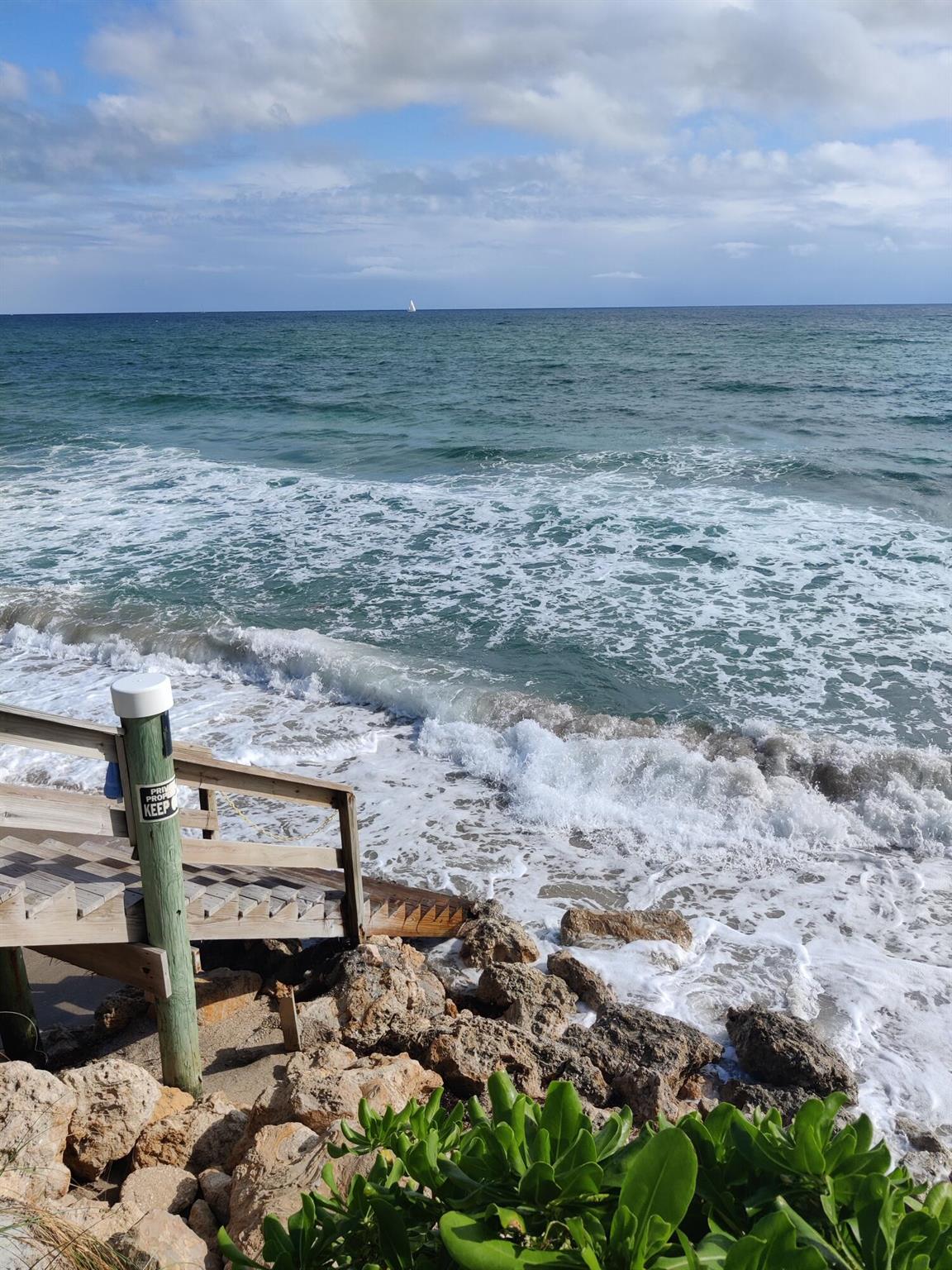 PALM BEACH WINDEMERE COND - Residential Lease