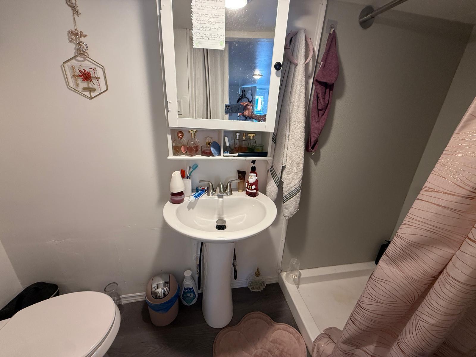 The Meadows Florida - Residential