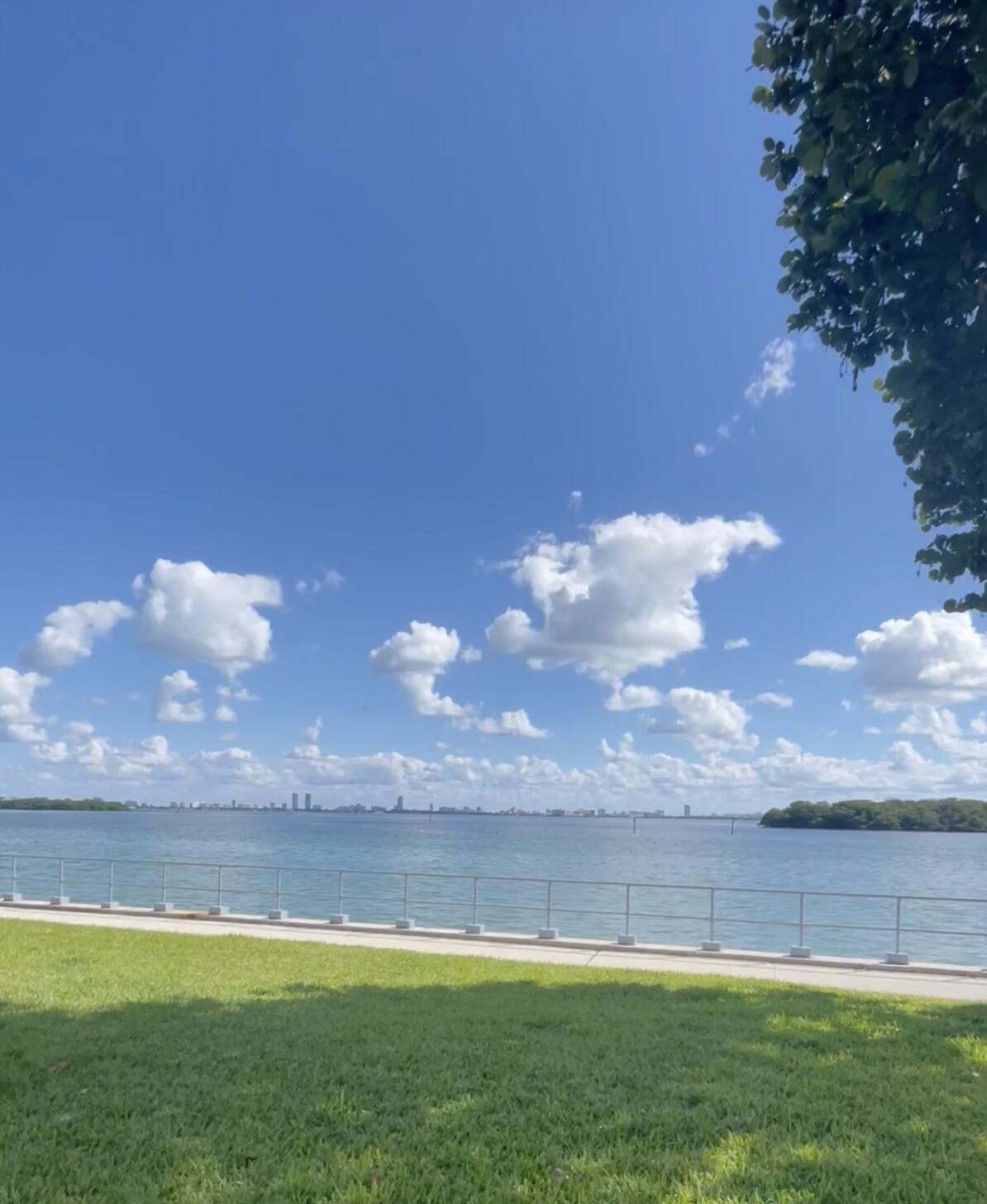 CLIPPER CONDO NO 1 - Residential Lease