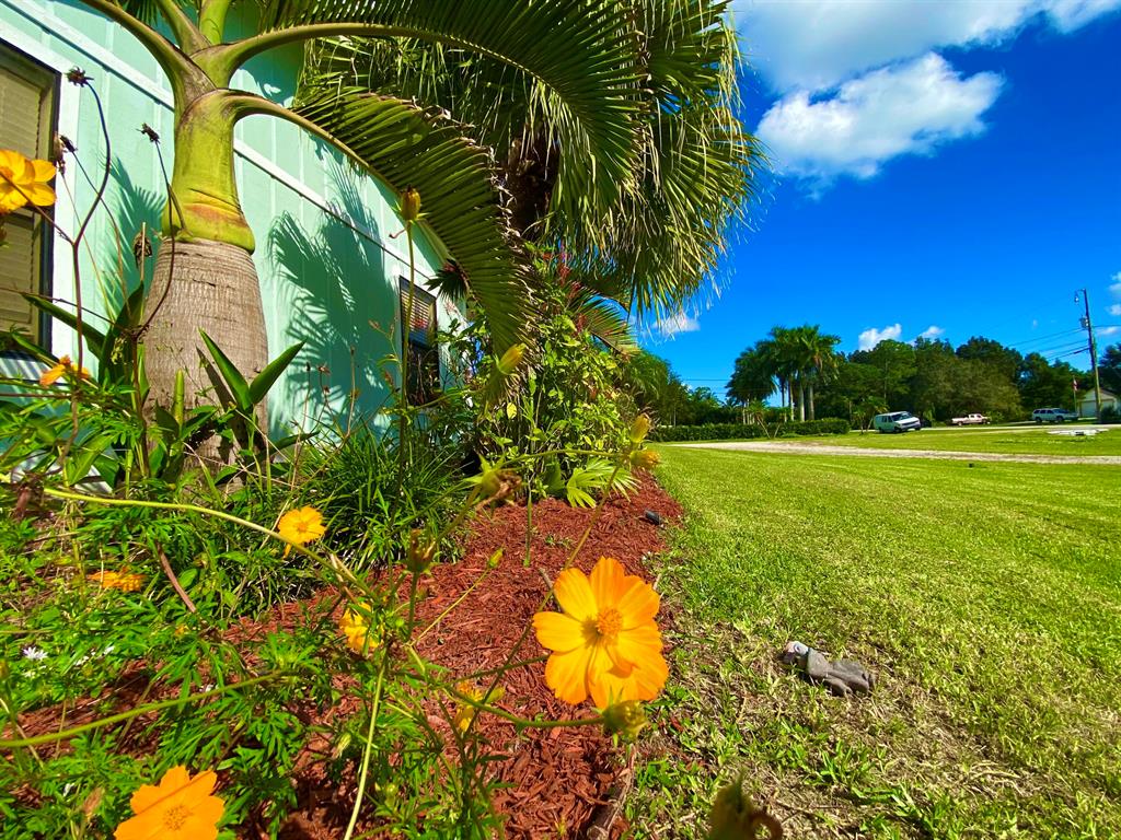 west palm beach - Residential