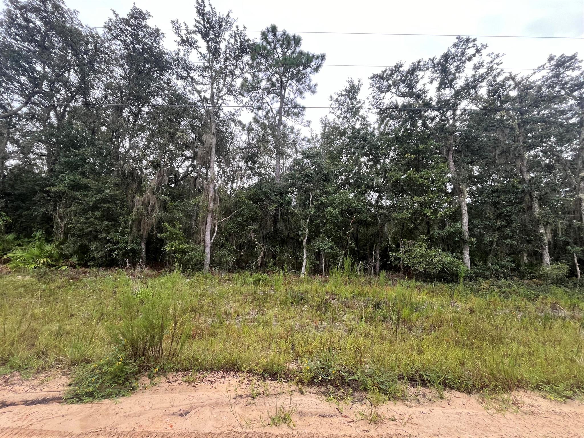 Tbd Glisson