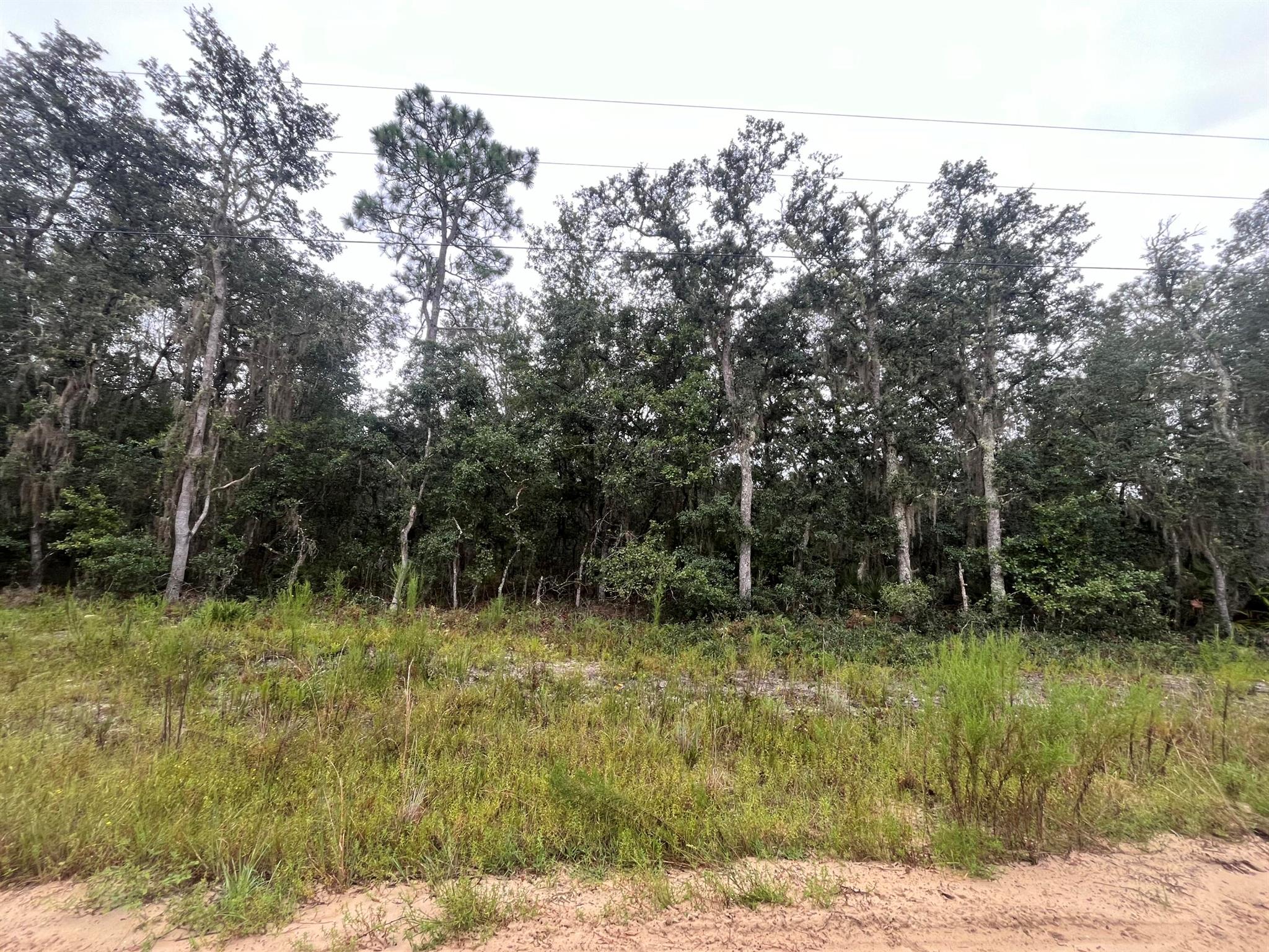 Tbd Glisson