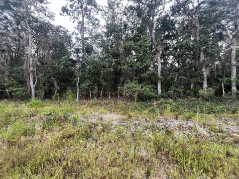 Tbd Glisson Interlachen FL 32148