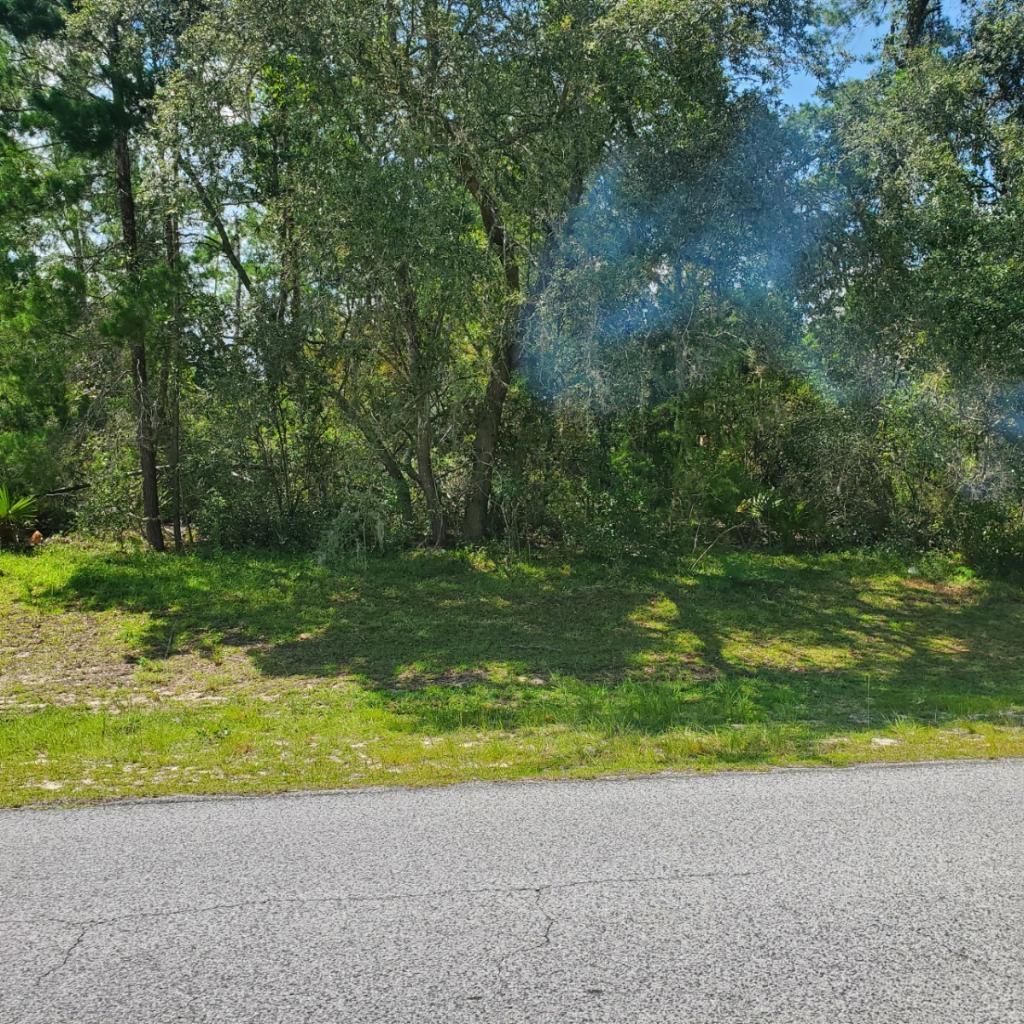 Neighborhood 9064 - MARIO - Land