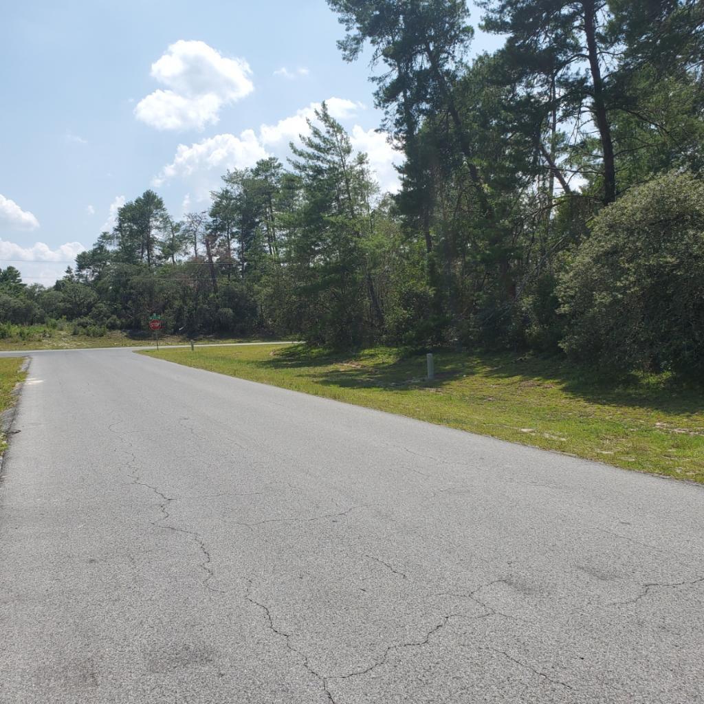 Neighborhood 9064 - MARIO - Land