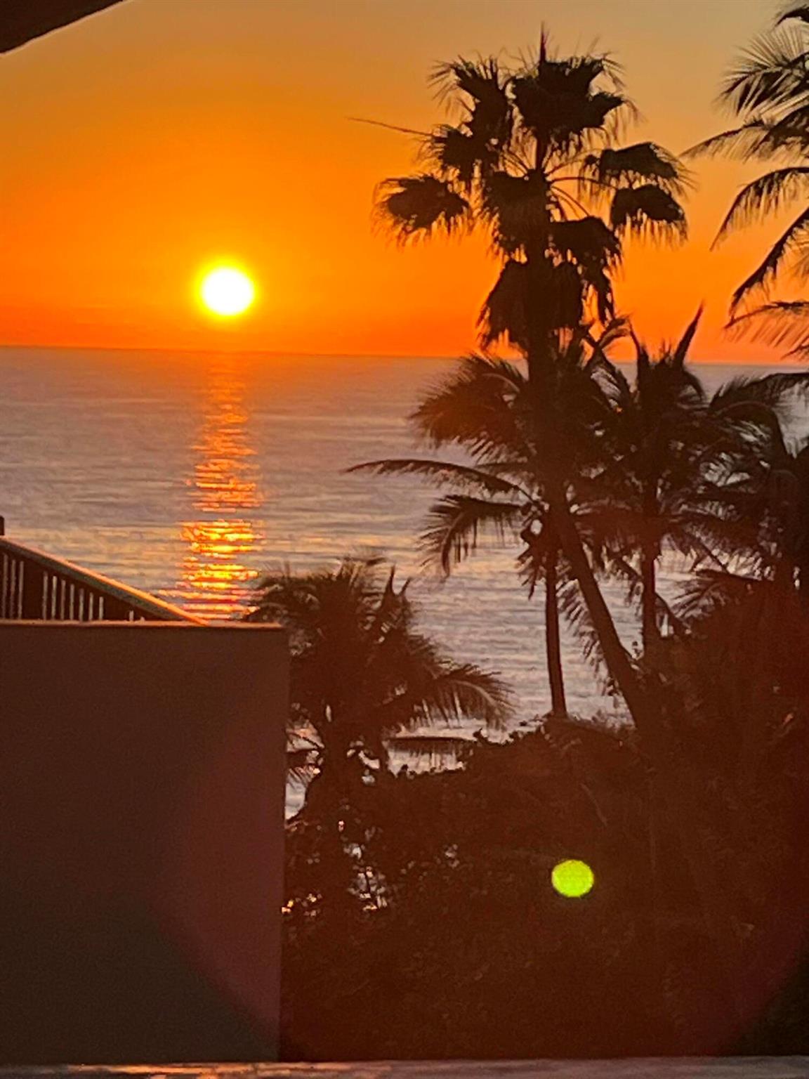 1147 Hillsboro Mile 504