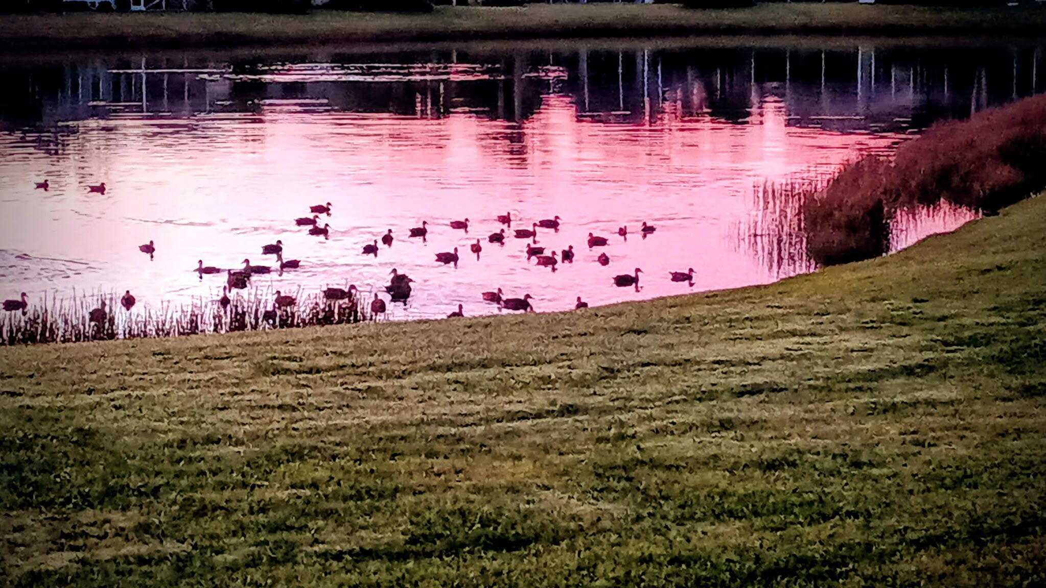 LAKES AT ST LUCIE WEST - Residential