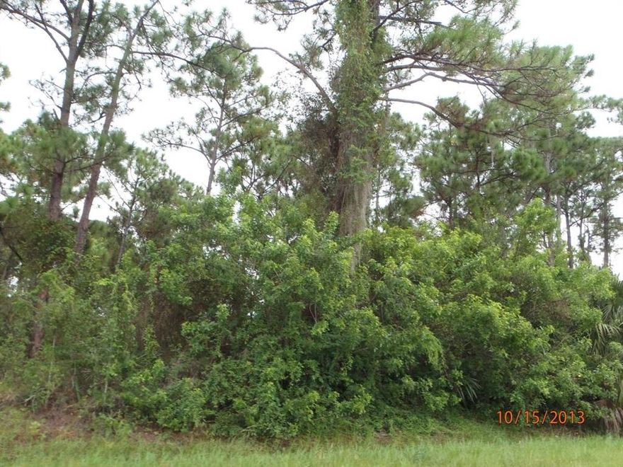 Centrally located corner lot in a desirable area  of St. Lucie County. Plenty of room for your new dream home with space for your RV or boat.