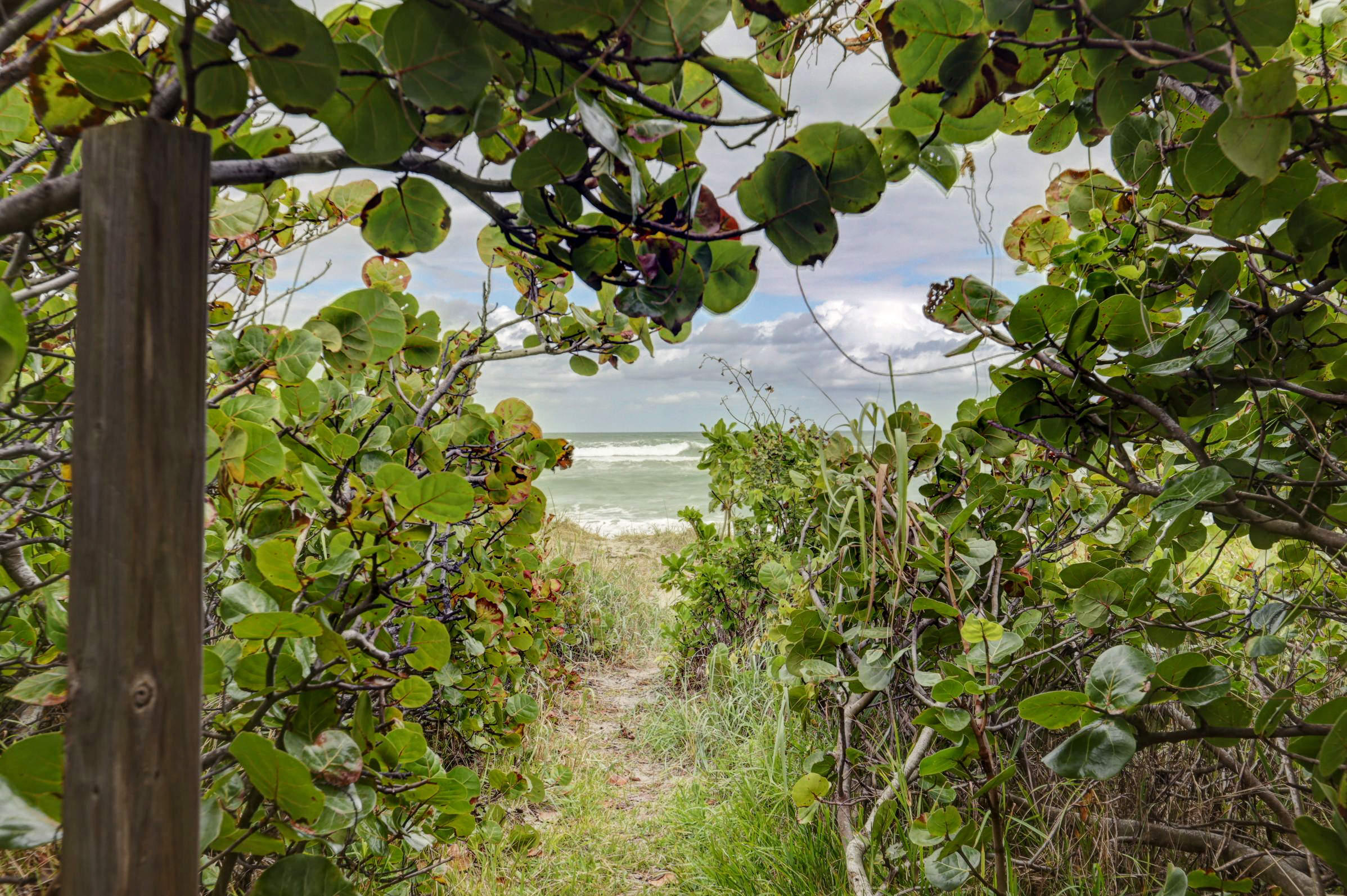 SEA IMAGES OF JUNO BEACH CONDO - Residential Lease