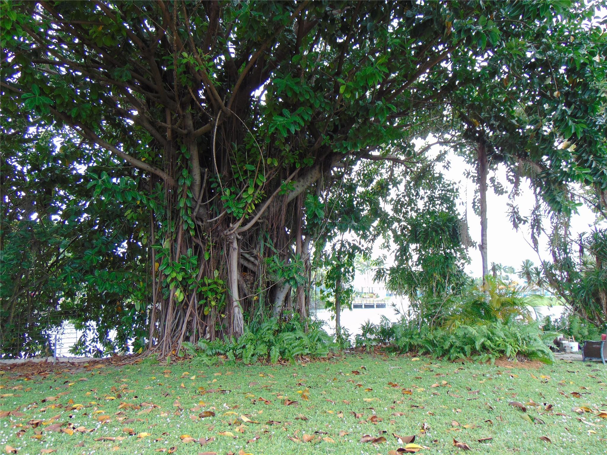 Ibec Add 3 47-46 B - Residential