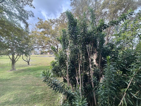 Tiny photo for 7320 Lake Cir Drive #204, Margate, FL 33063 (MLS # R11163007)