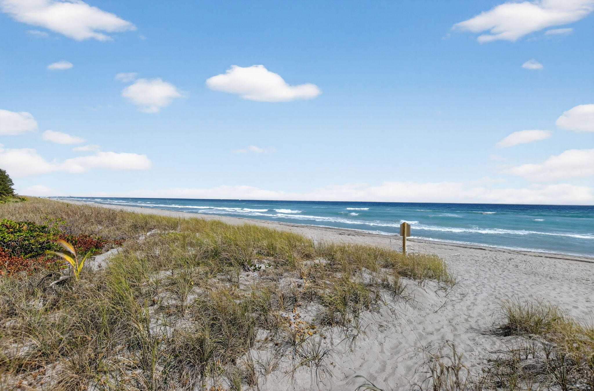BOCA TOWERS CONDO PORTION - Residential