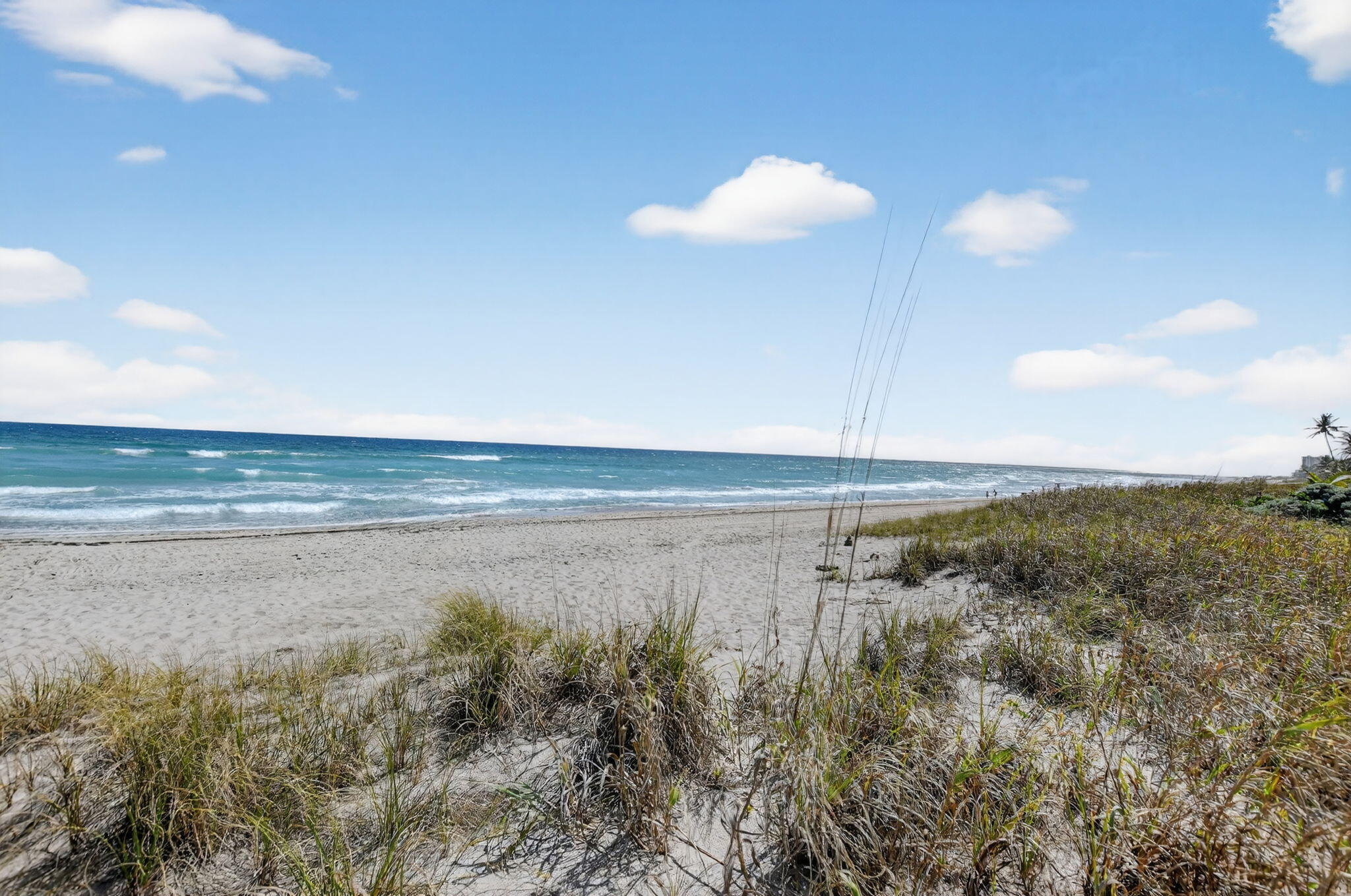 BOCA TOWERS CONDO PORTION - Residential