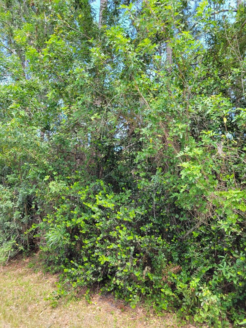 Photo of ### 133rd Trl N, Jupiter, FL 33478 (MLS # R11066109)