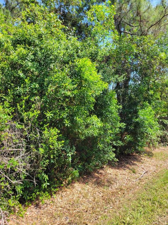 JUPITER FARMS - Land