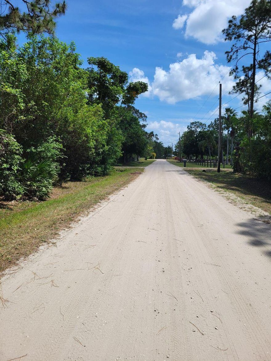 VACANT LAND NEEDS CLEARING