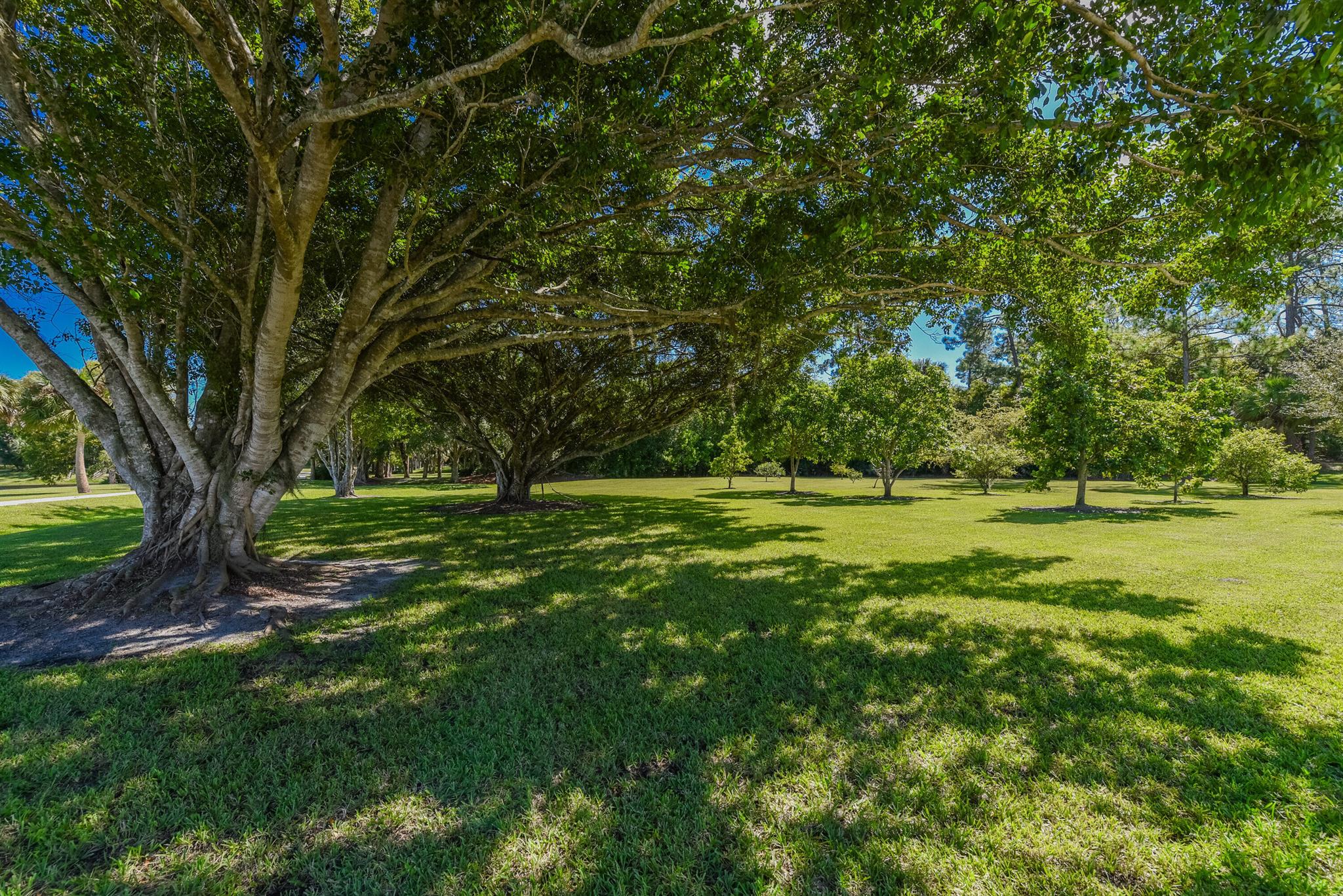 Palm City Farms - Residential
