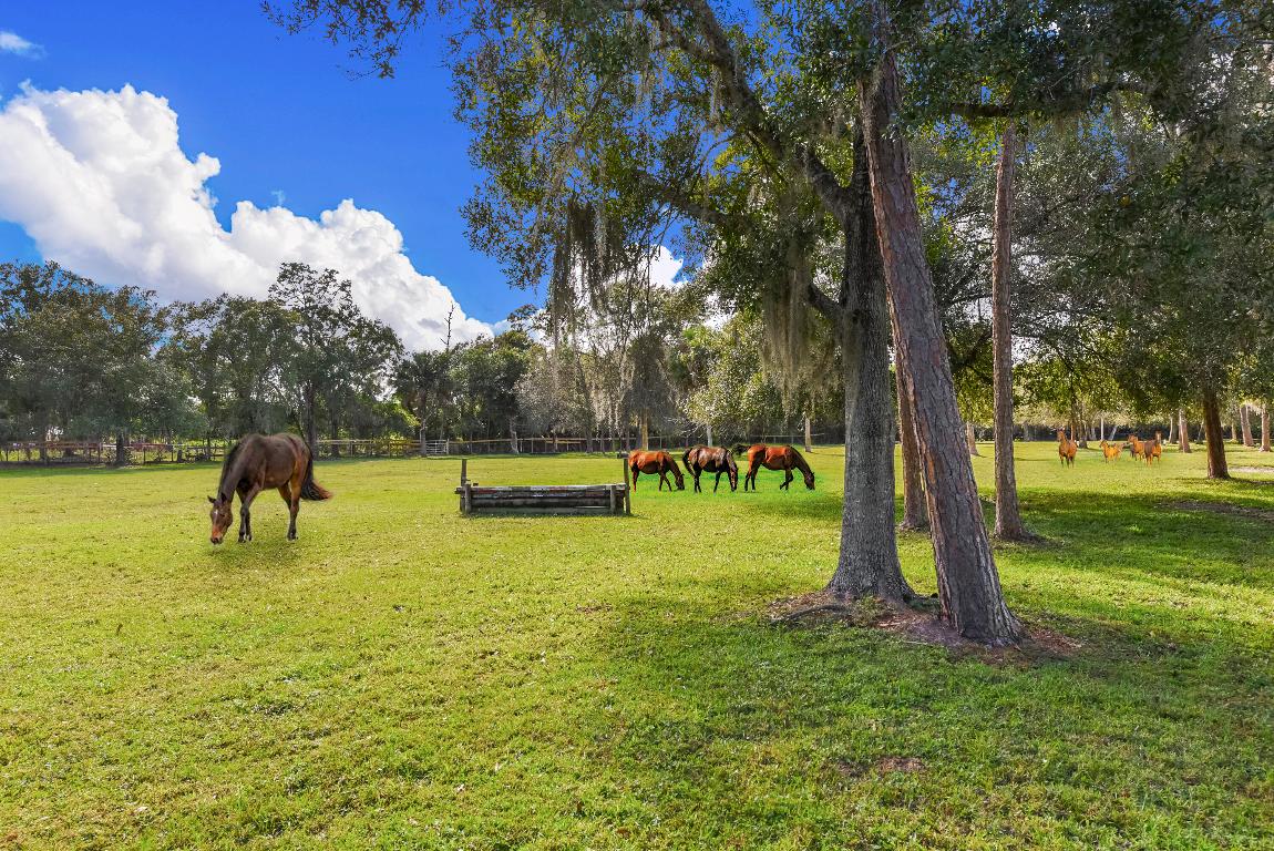 Palm City Farms - Residential