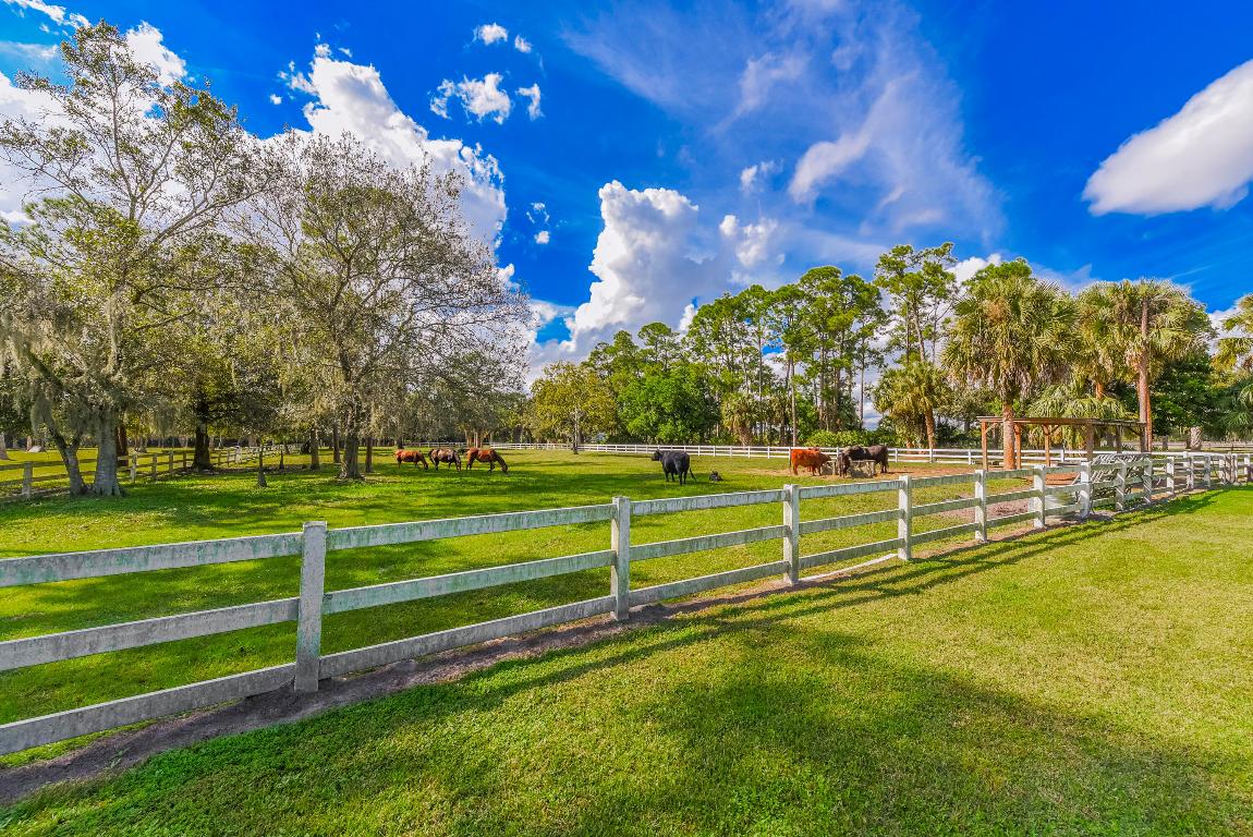 Palm City Farms - Residential