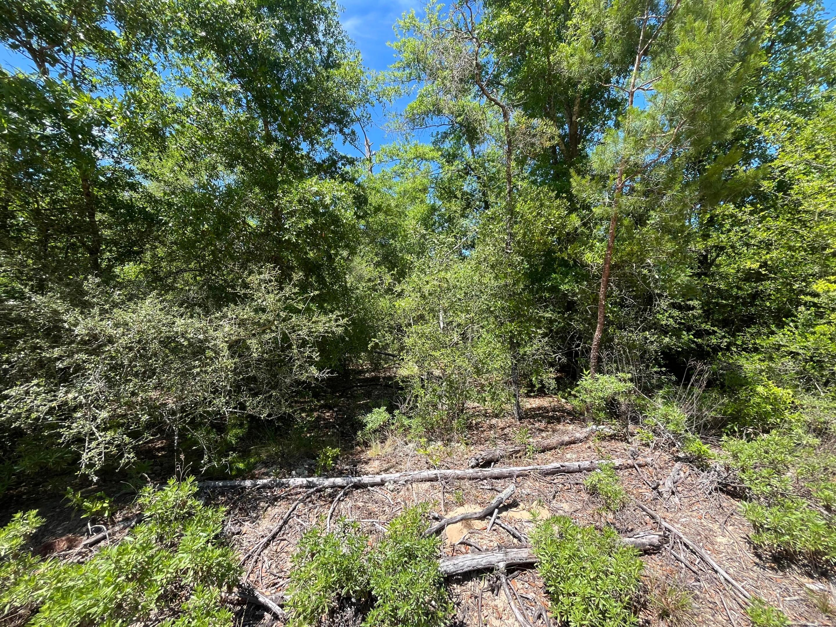 COMPASS LAKE HILLS - Land