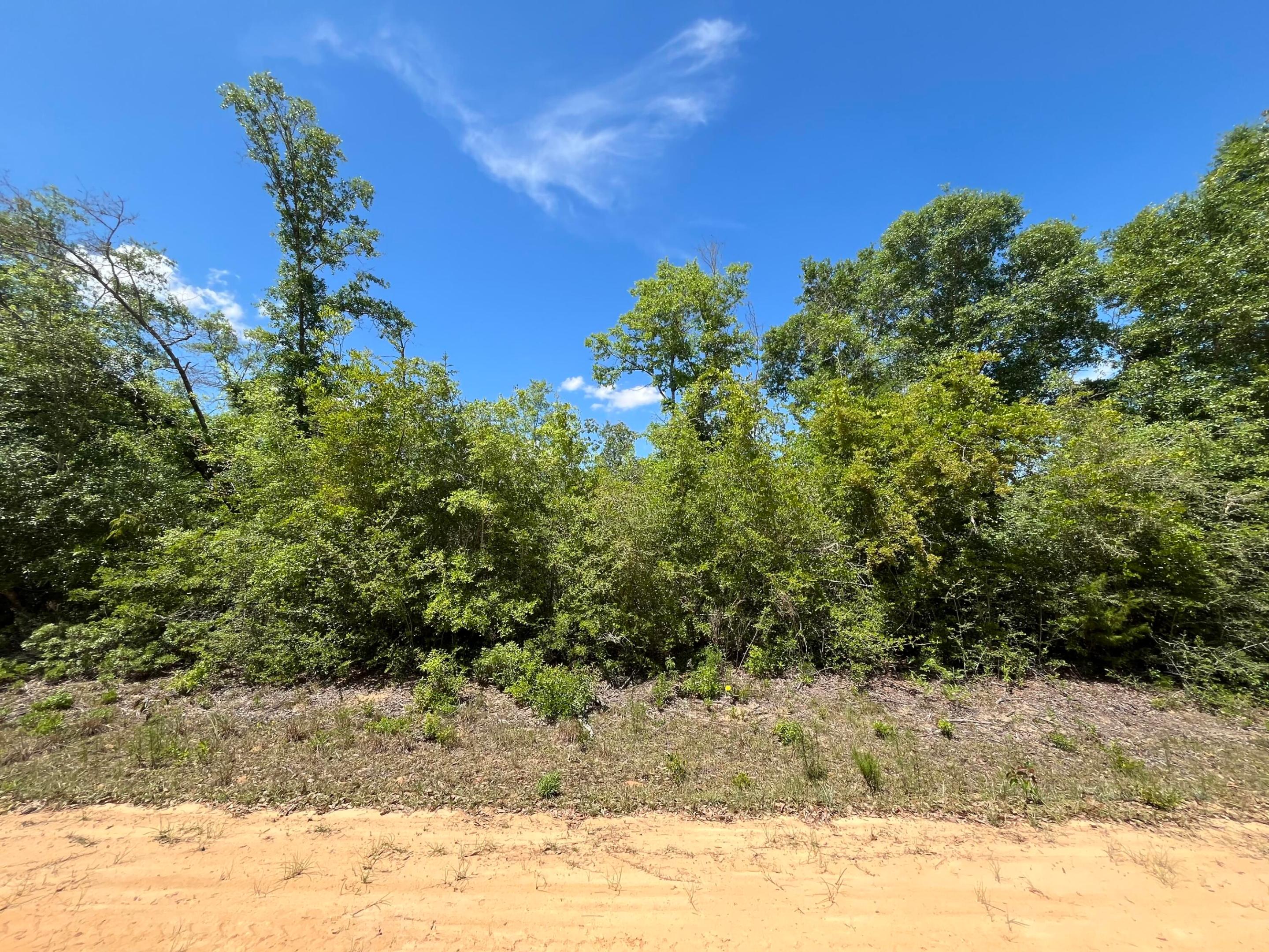 COMPASS LAKE HILLS - Land