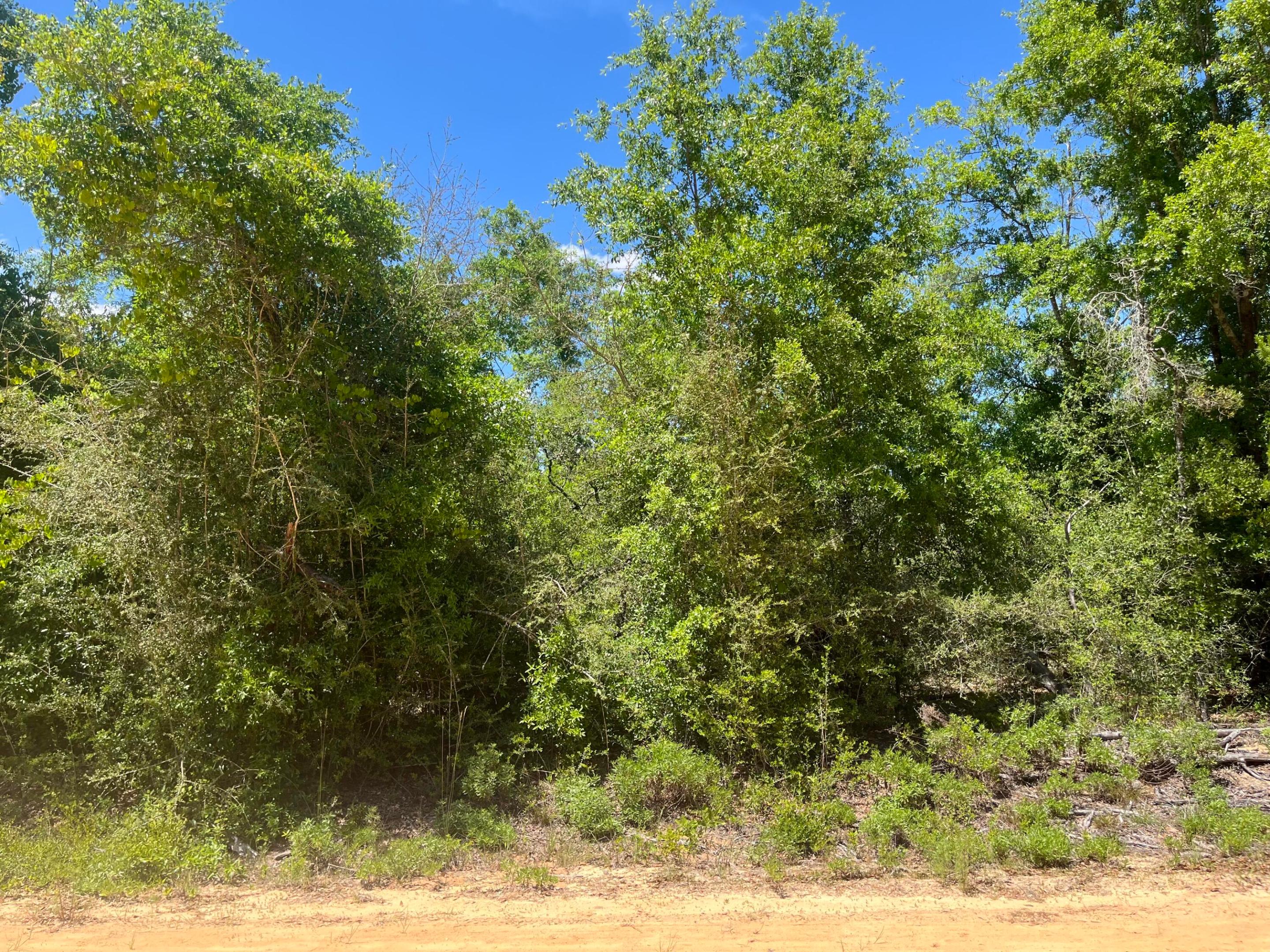 COMPASS LAKE HILLS - Land