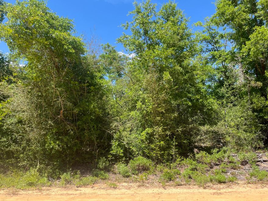Owner Financing Available! Don't miss out on this wooded 1.19-acre residential lot in Compass Lake in the Hills, just outside of Marianna, FL. This property offers a peaceful and spacious setting perfect for building your dream home in one of Northwest Florida's most scenic communities. Located near beautiful Compass Lake, this area is a haven for boating, skiing, fishing, and swimming. Residents enjoy access to a clubhouse with restaurant, tennis courts, swimming pool, picnic areas, and a business center. The lot is conveniently situated near Highway 231, offering easy access to Panama City (approximately 45 minutes away) and the Gulf Coast's stunning beaches (about an hour's drive). This is a fantastic opportunity to invest in the growing panhandle of Northwest Florida. For directional purposes only, the property is located across the street from 2635 Hocking St, Alford, FL 32420