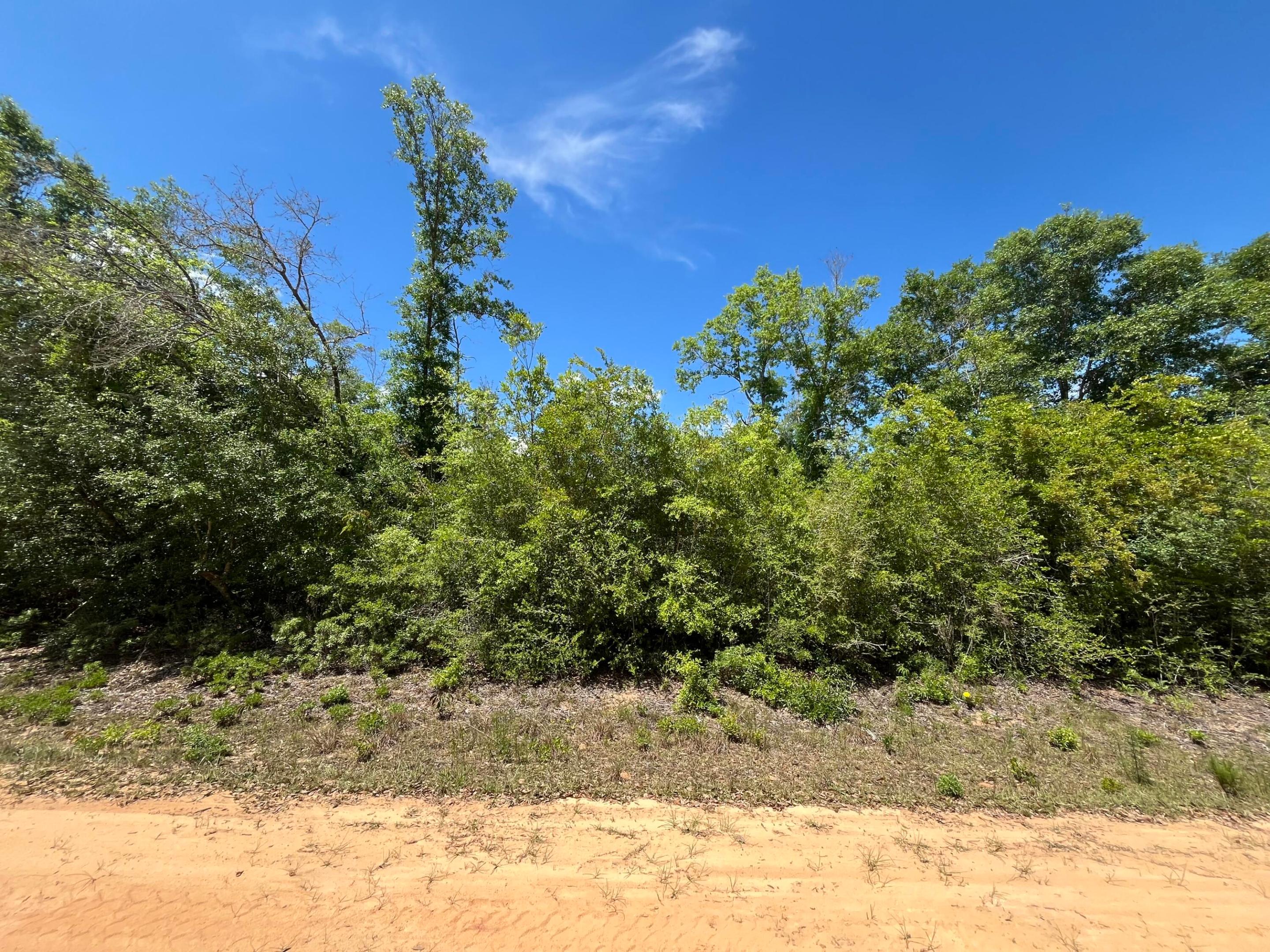 COMPASS LAKE HILLS - Land