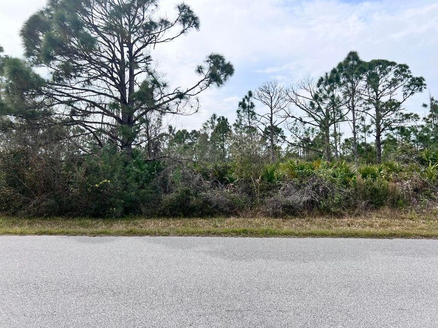OWNER FINANCIAL AVAILABLE!! Port Charlotte is one of the growing cities in Florida, close to the beach, restaurants, markets, and much more. You can have your new construction home with all the benefits of living in paradise. Make this beautiful lot your future home!!