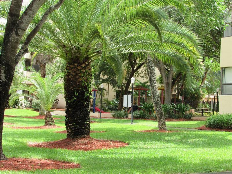 PLANTATION FOREST - Residential