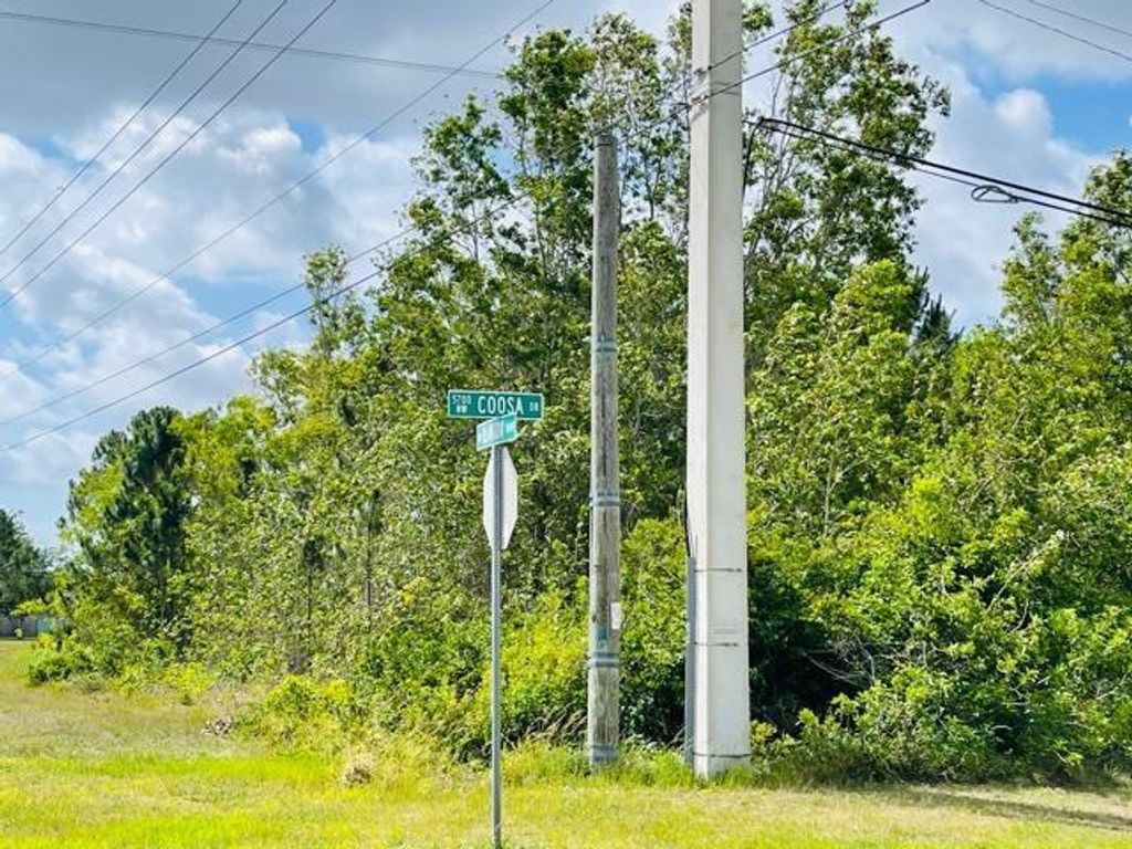 Photo of 5791 NW Coosa Drive, Port Saint Lucie, FL 34986 (MLS # R10717696)