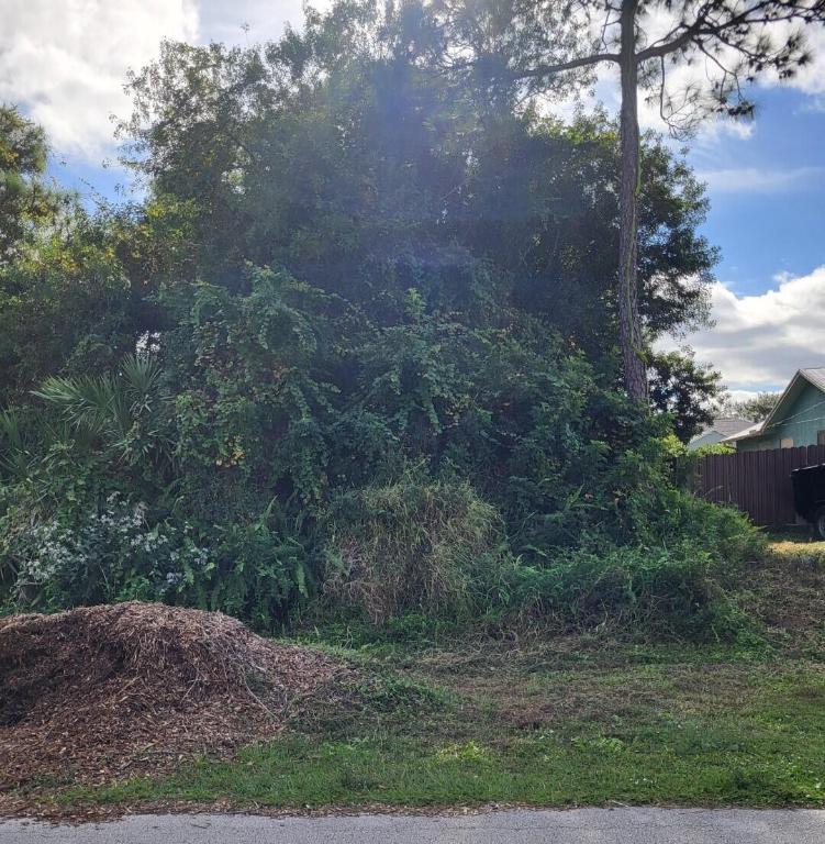 PORT ST LUCIE SECTION 5 - Land