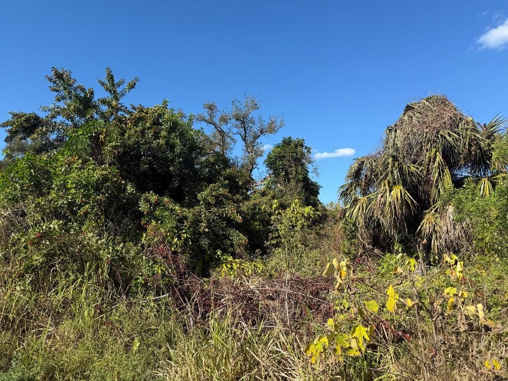 Photo of 1810 38th Place, Vero Beach, FL 32960 (MLS # R11153696)