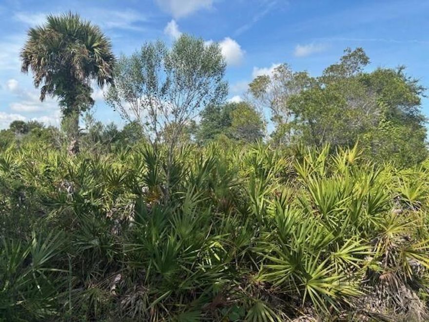 1.25 acre lot in Viking Estates. Close to the Kissimmee Prairie State Park. Bring your 4 -wheelers. This property is not only ideal for recreational uses such has camping, hunting and shooting, but it’s agricultural as well.
Survey included and owner financing available.
Adjacent land available