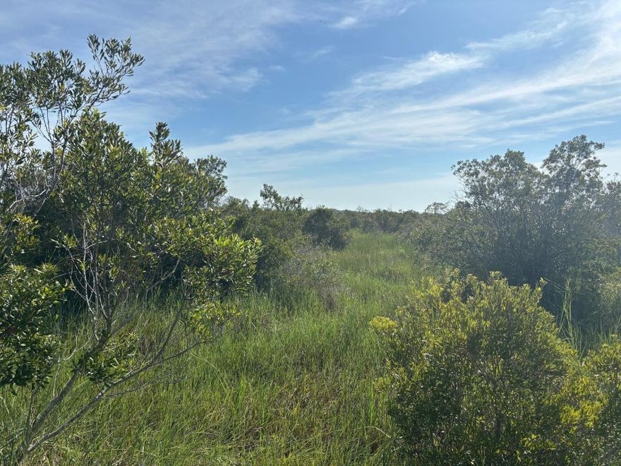 5 acres in Viking Estates. Close to the Kissimmee Prairie State Park. Bring your 4 -wheelers. This property is not only ideal for recreational uses such has camping, hunting and shooting, but it’s agricultural as well.Owner financing available