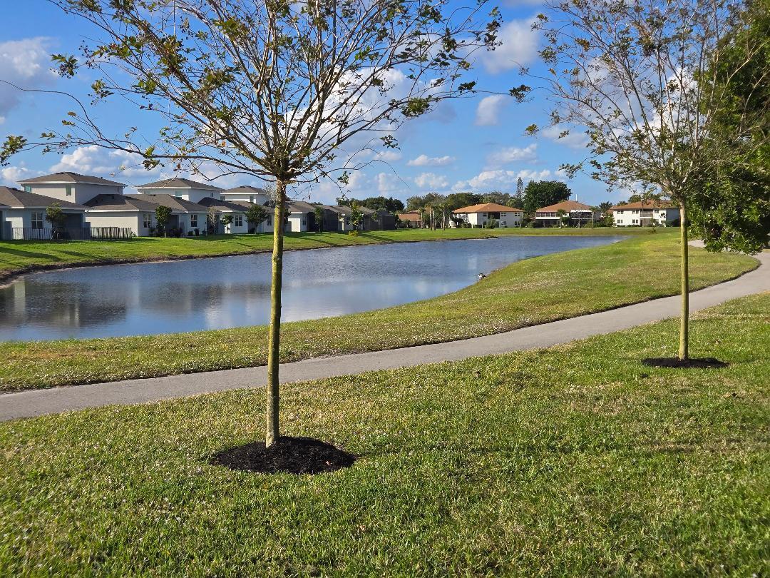PALM GREENS AT VILLA DEL RAY CONDO II - Residential