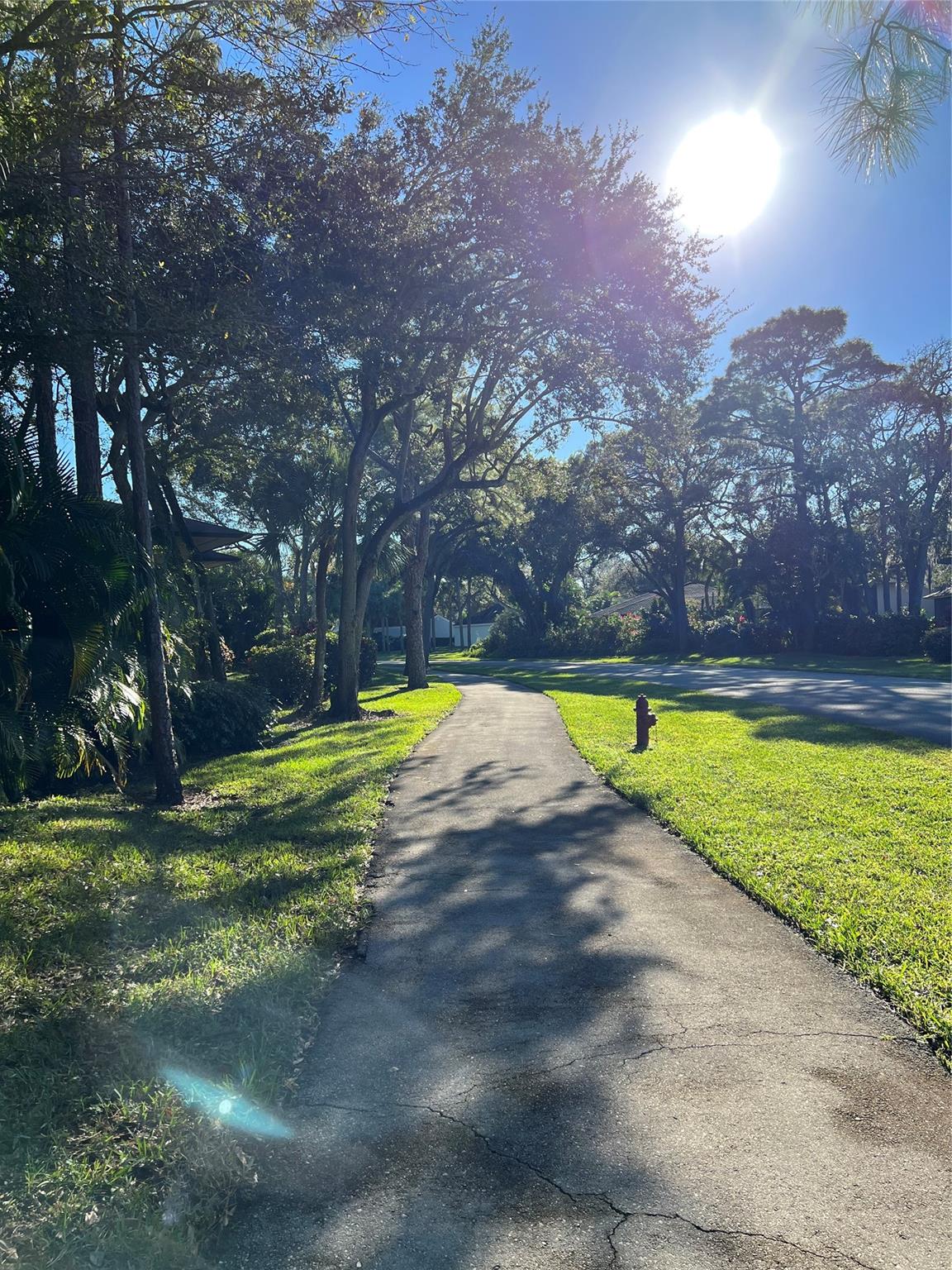 Manor Forest 01 - Land