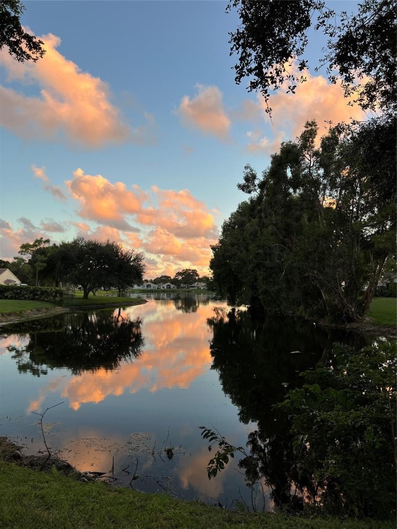 Manor Forest 01 - Land